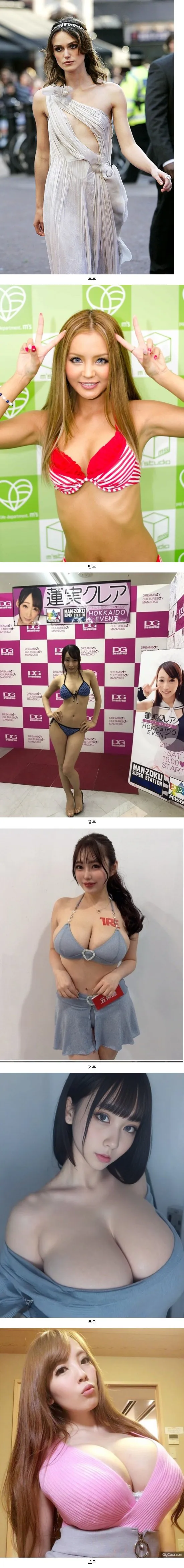 여자 가슴 신체 사이즈 순서